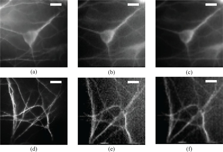 Fig. 5