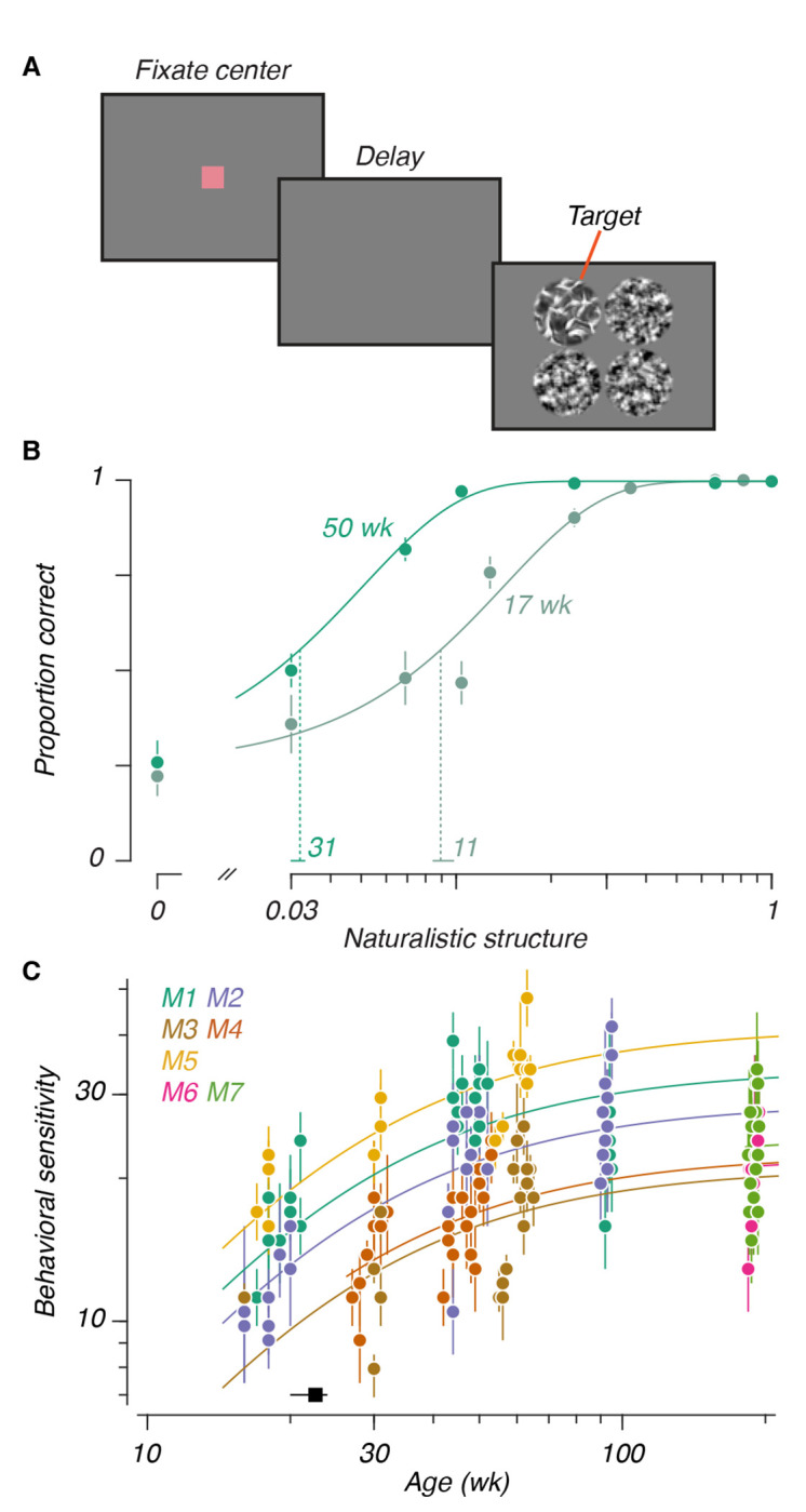 Figure 2: