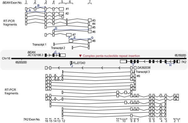 Figure 4