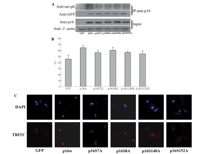 Figure 4.