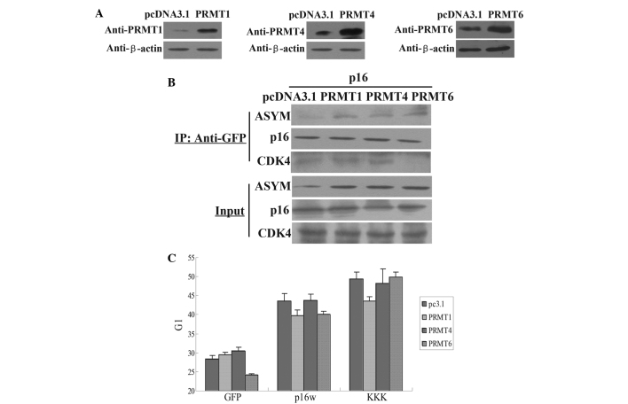 Figure 2.