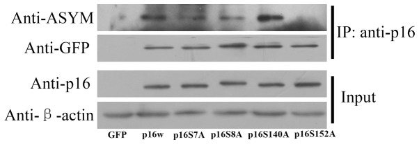 Figure 5.