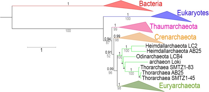 Fig 8