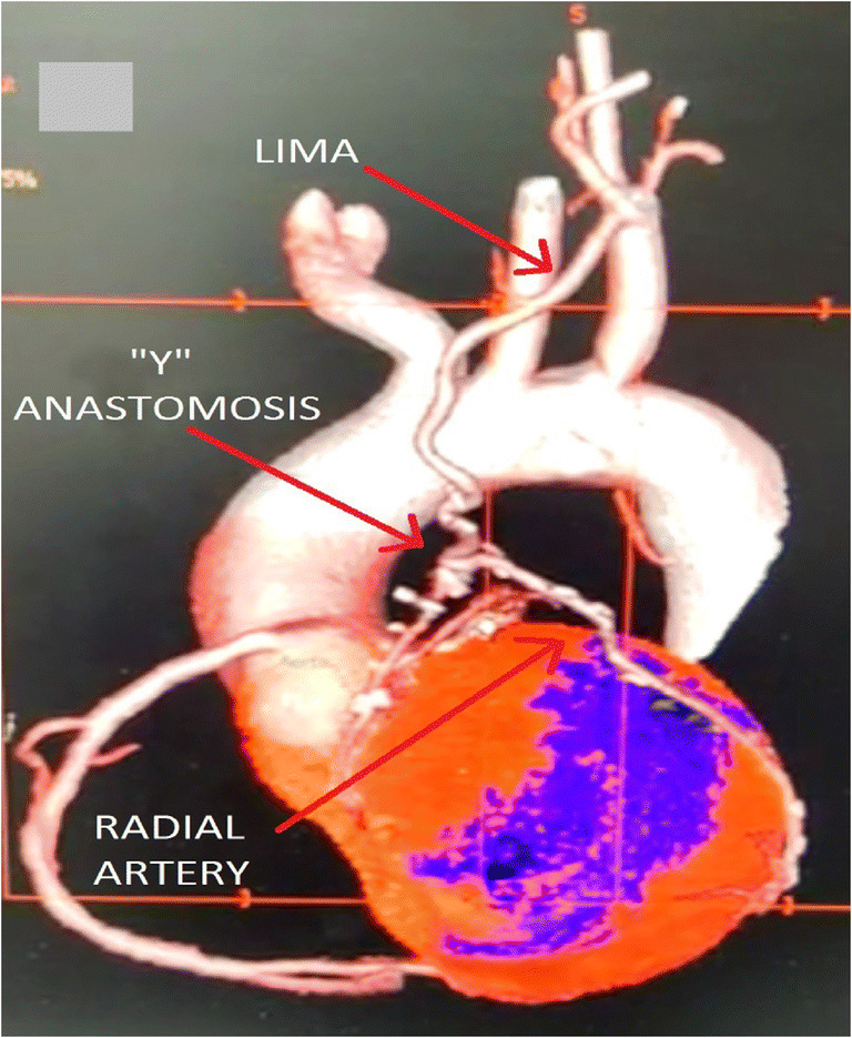 Fig. 5