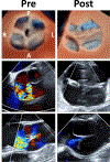 Figure 3: