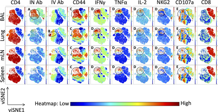 FIG 10