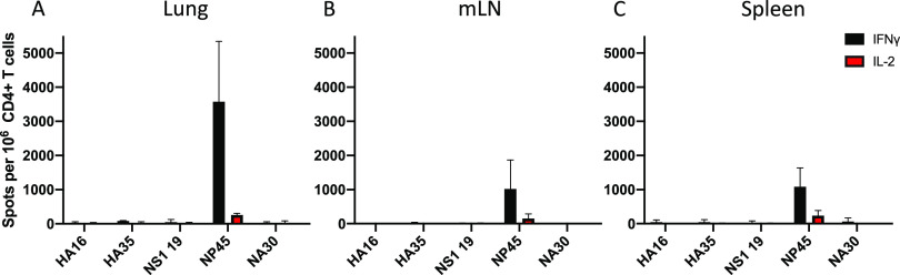 FIG 11