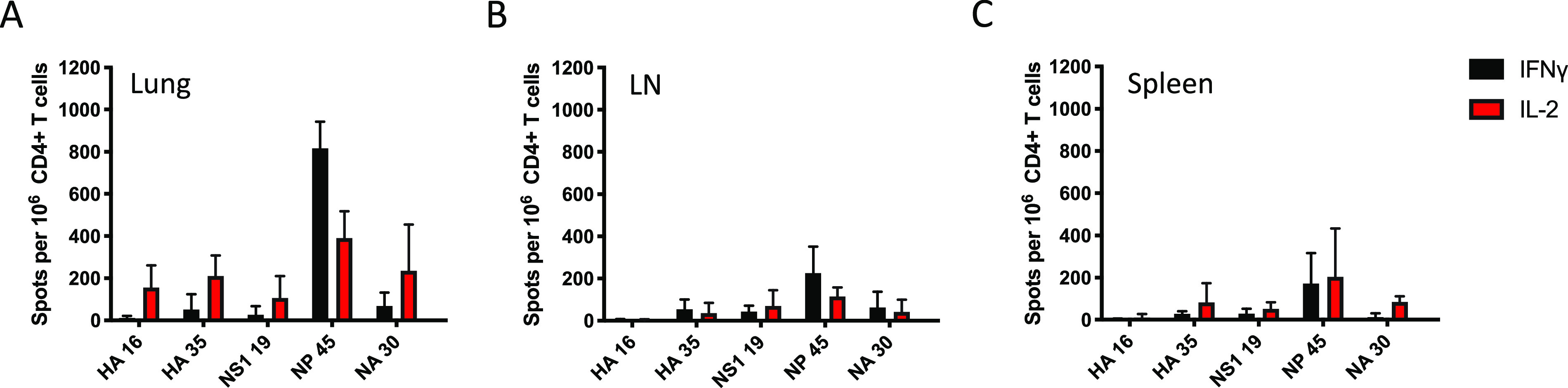 FIG 2