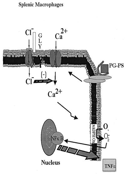 FIG. 8