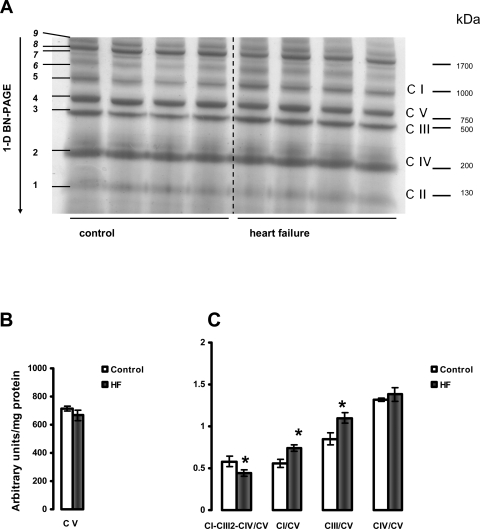 Figure 6