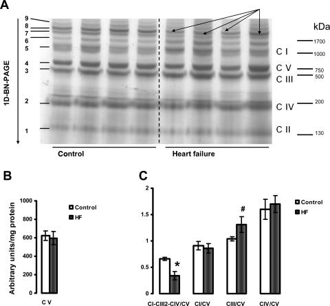 Figure 7