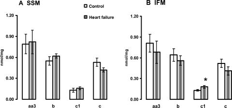 Figure 5