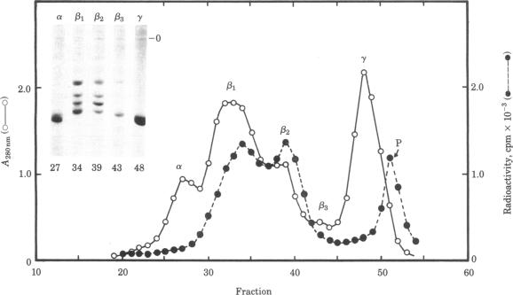 graphic file with name pnas00654-0072-a.jpg