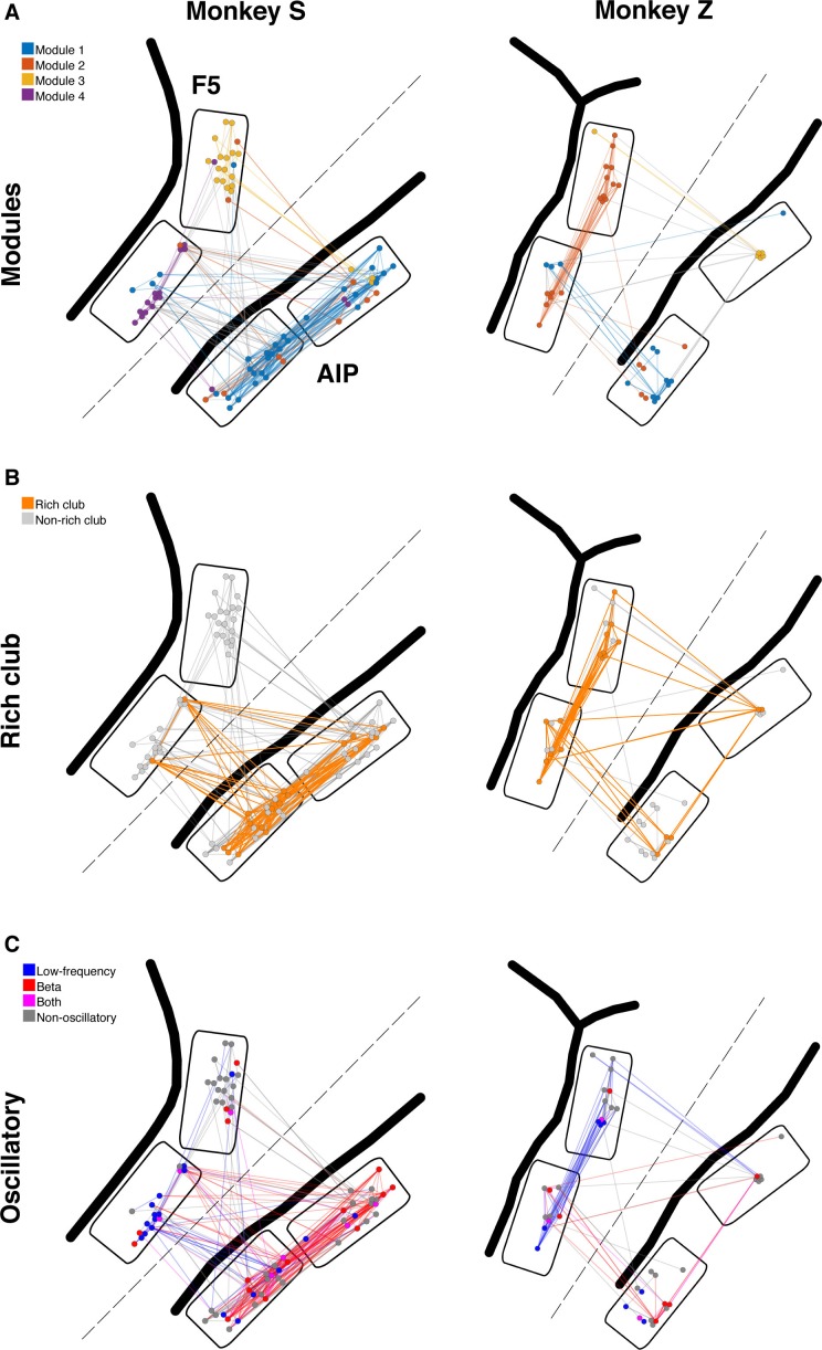 Figure 3—figure supplement 1.