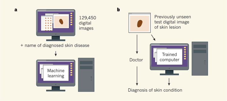 Figure 1 |