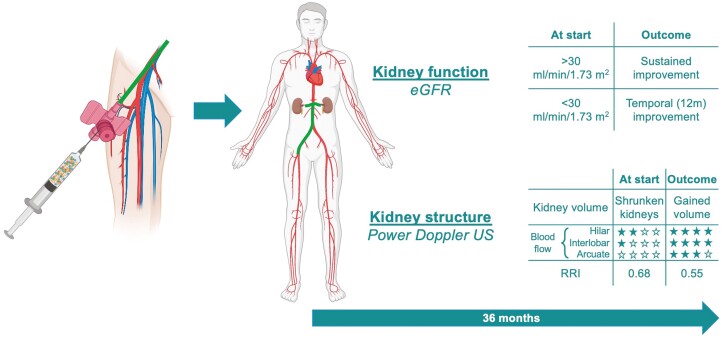 Graphical Abstract