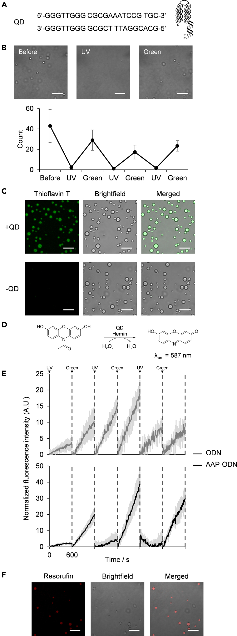 Figure 5