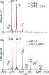Figure 1—figure supplement 2.