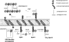 FIG. 1.