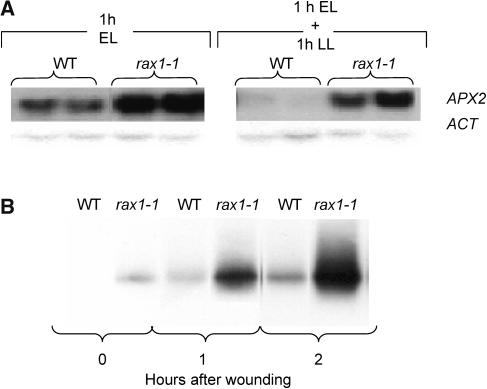 Figure 4.