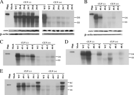 FIG. 2.