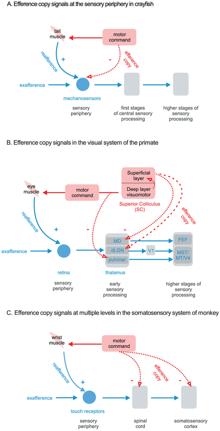 Figure1: