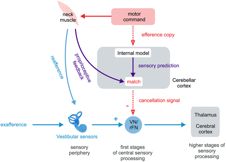 Figure 2: