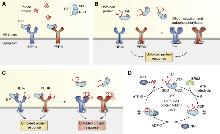 Figure 3