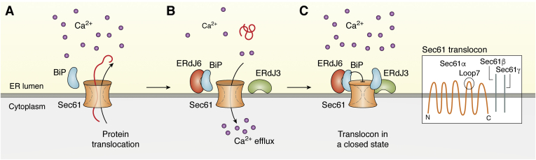 Figure 4