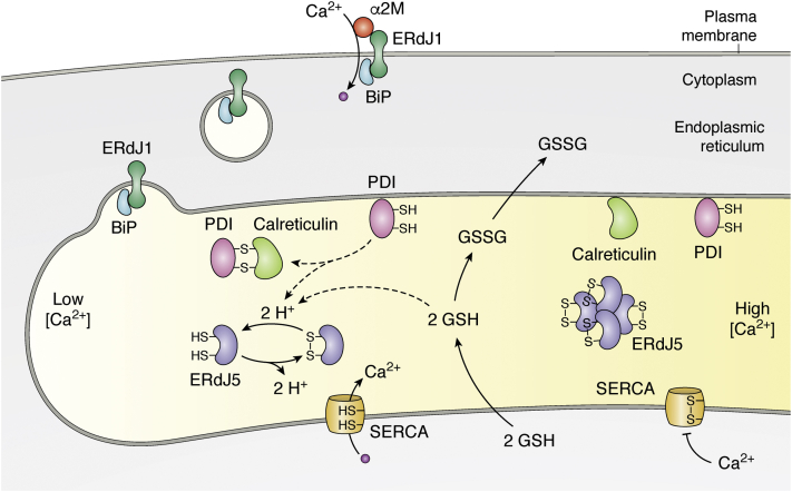 Figure 2