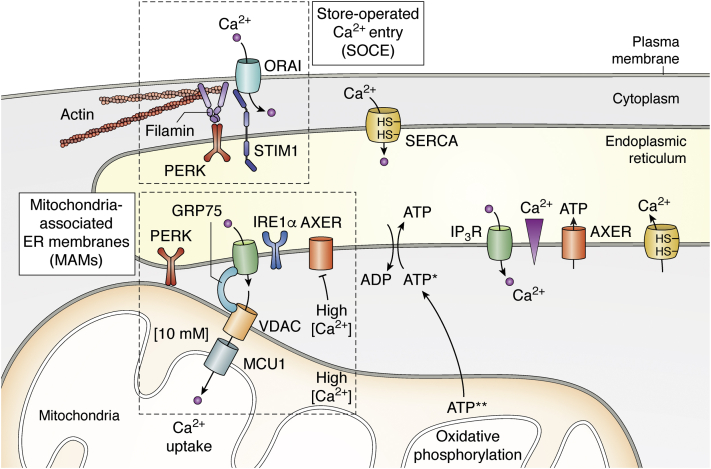 Figure 1