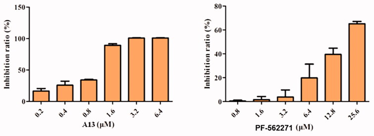 Figure 6.