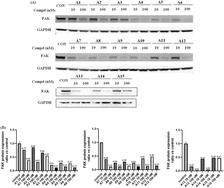 Figure 5.