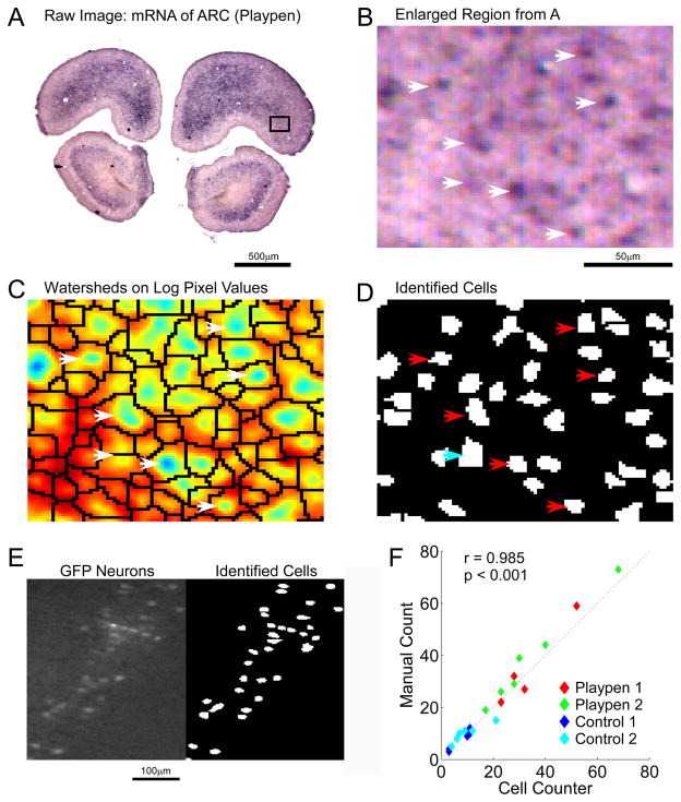 Figure 2