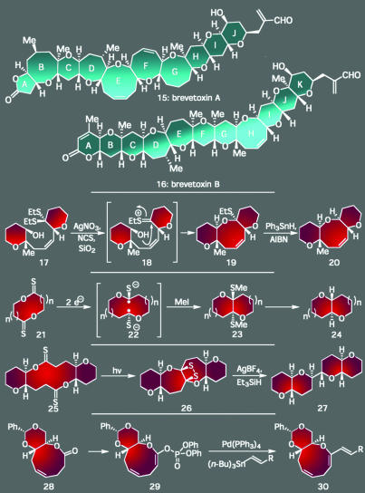 Scheme 2.