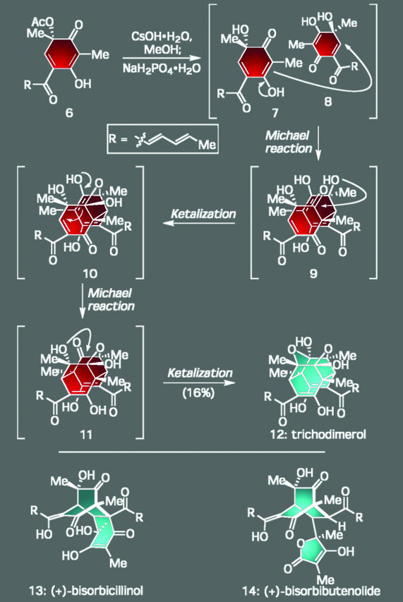 Scheme 1.