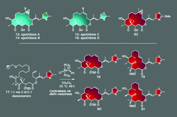 Scheme 7.