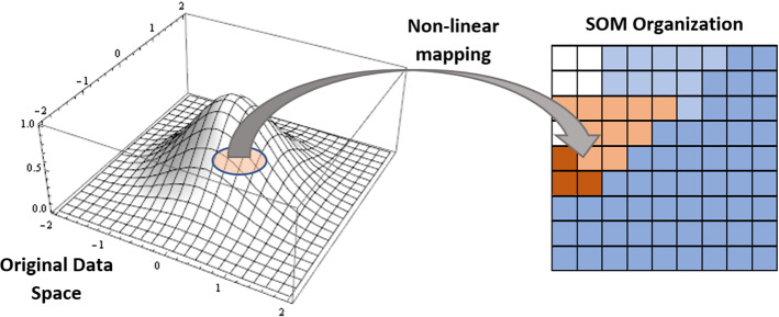 Fig. 6