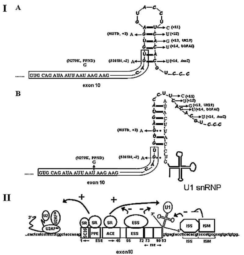 FIGURE 3