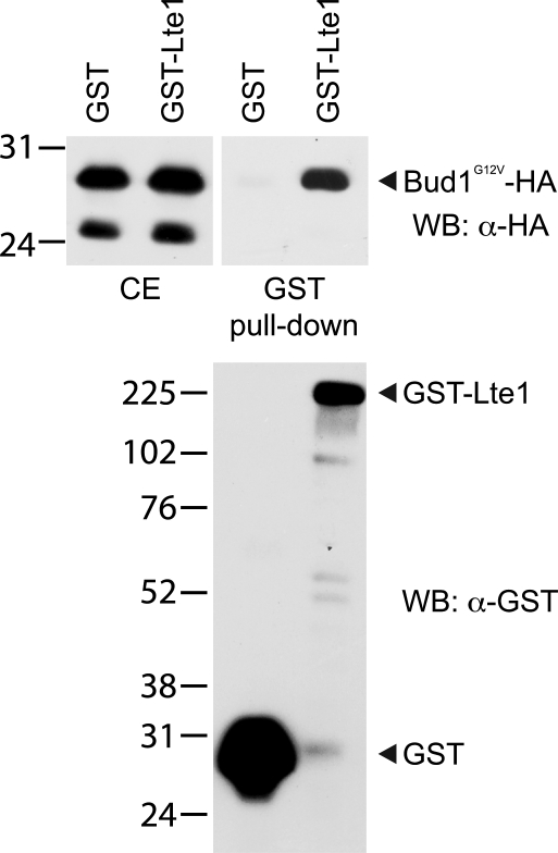 Figure 7.