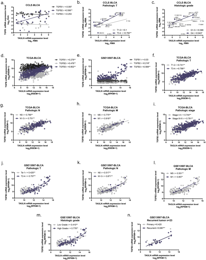 Supplementary Fig. S3