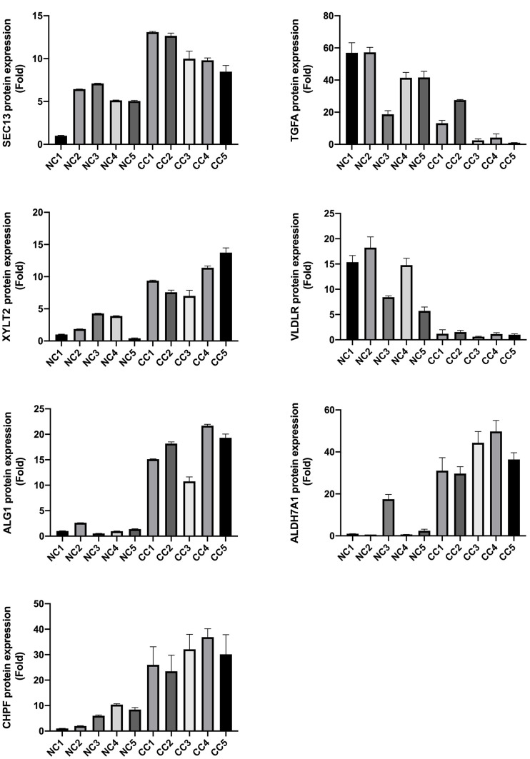 Figure 10