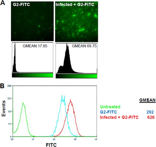 Fig 8