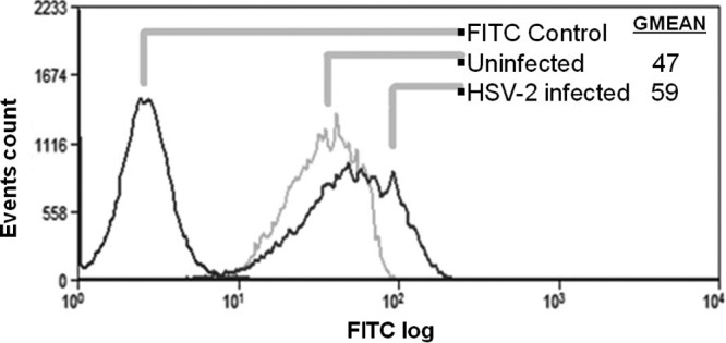 Fig 9