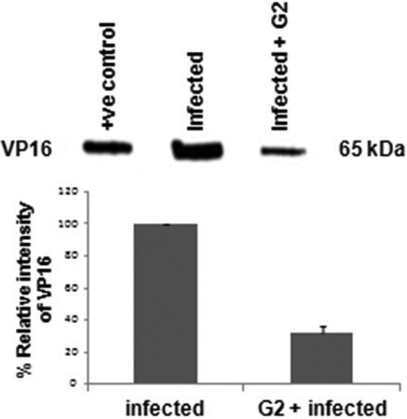 Fig 4