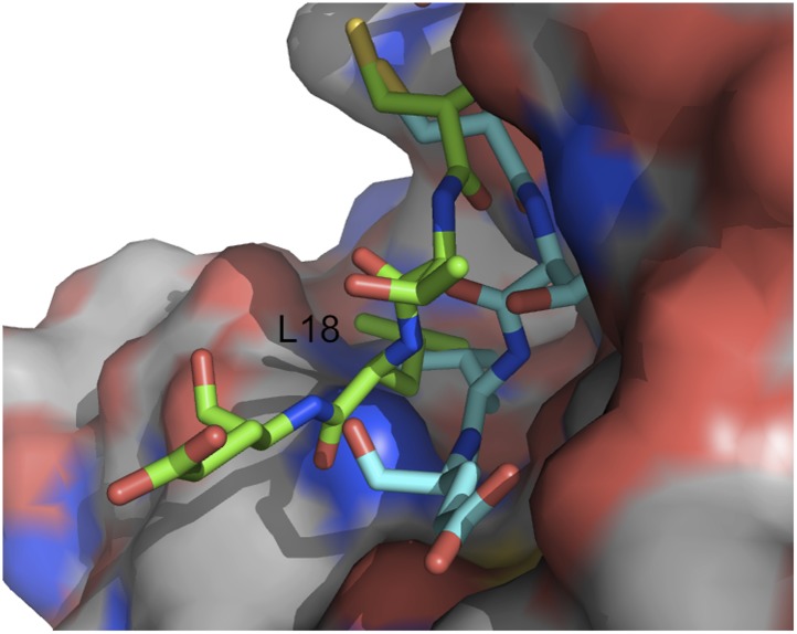 Figure 4—figure supplement 1.