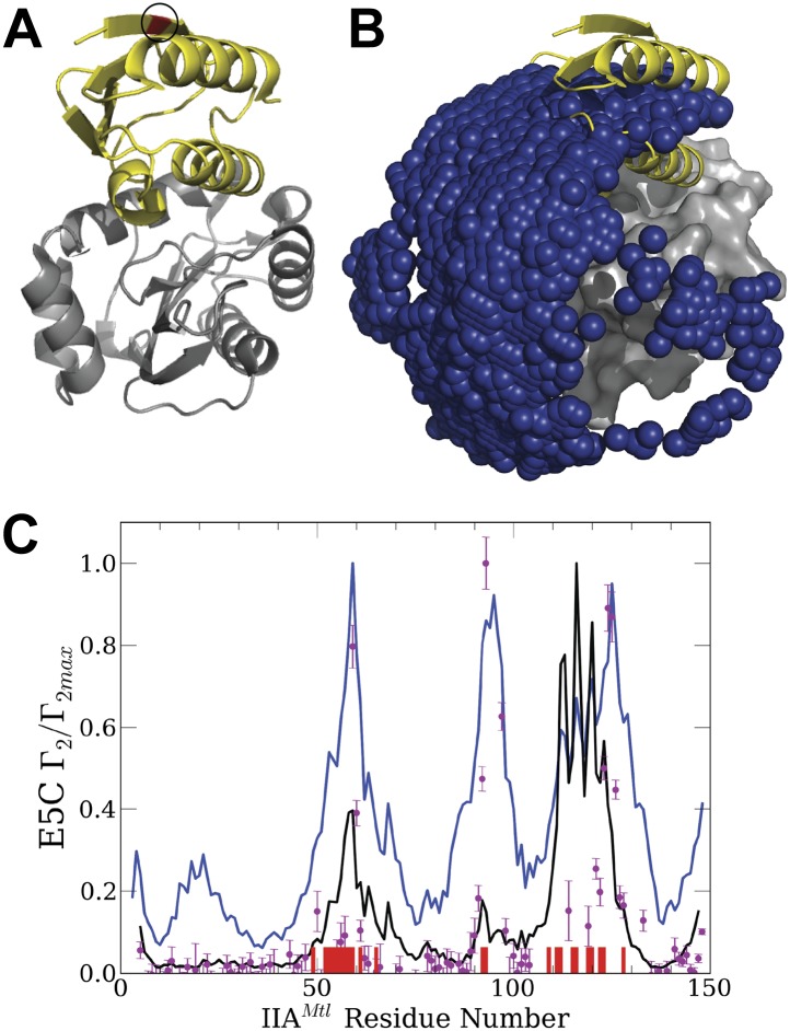 Figure 2—figure supplement 2.