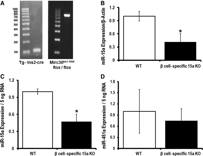 FIG. 9.