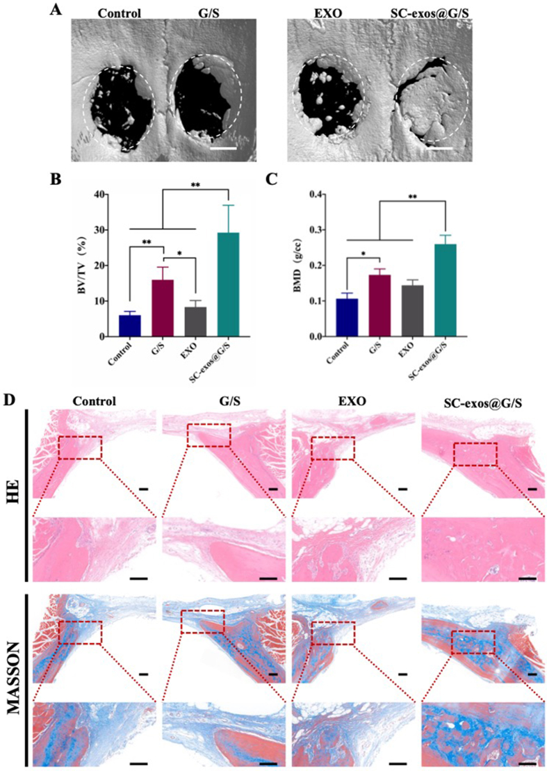 Fig. 9