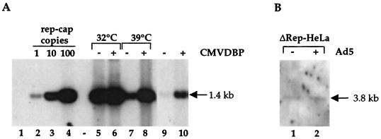 FIG. 6